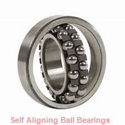 NSK 1304KJ  Self Aligning Ball Bearings