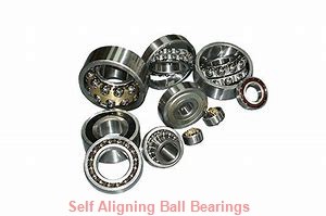 NSK 1307KJ  Self Aligning Ball Bearings