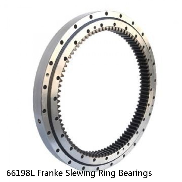 66198L Franke Slewing Ring Bearings