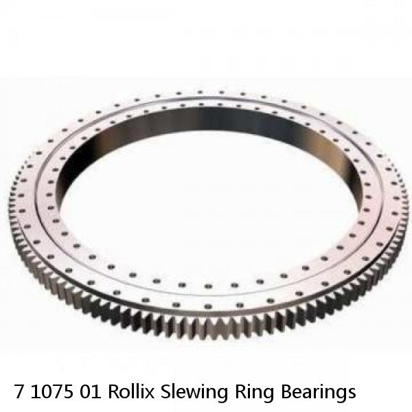 7 1075 01 Rollix Slewing Ring Bearings