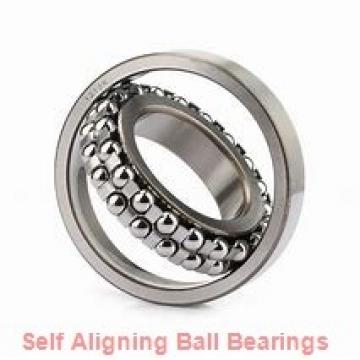 NSK 1309KJ  Self Aligning Ball Bearings