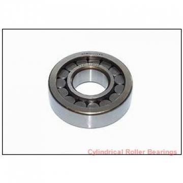 0.787 Inch | 20 Millimeter x 1.85 Inch | 47 Millimeter x 0.551 Inch | 14 Millimeter  NSK NU204M  Cylindrical Roller Bearings
