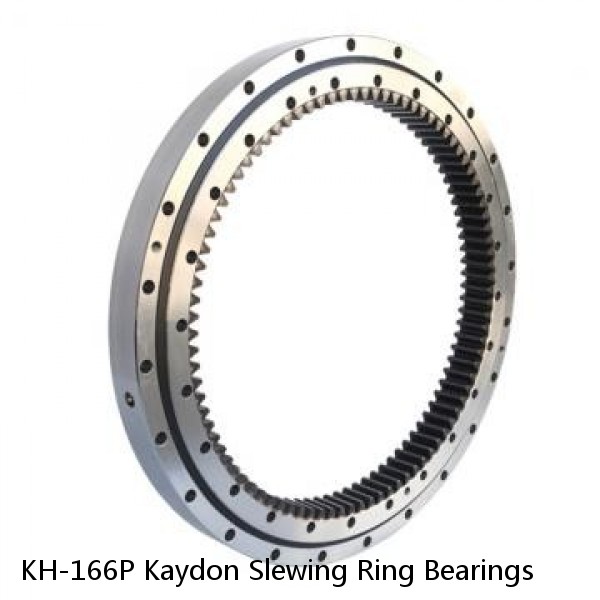 KH-166P Kaydon Slewing Ring Bearings #1 small image