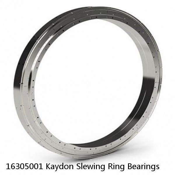 16305001 Kaydon Slewing Ring Bearings #1 small image