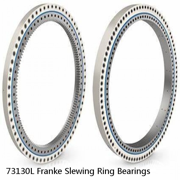 73130L Franke Slewing Ring Bearings #1 small image