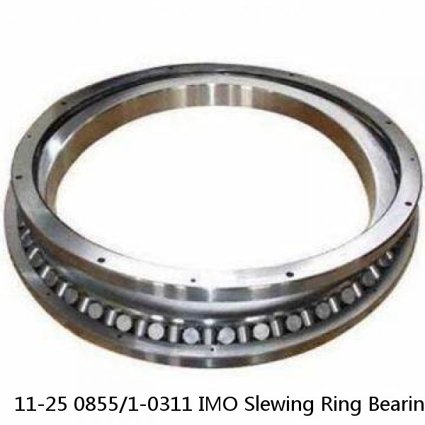 11-25 0855/1-0311 IMO Slewing Ring Bearings #1 small image