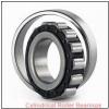 FAG NUP207-E-TVP2-C3  Cylindrical Roller Bearings #1 small image