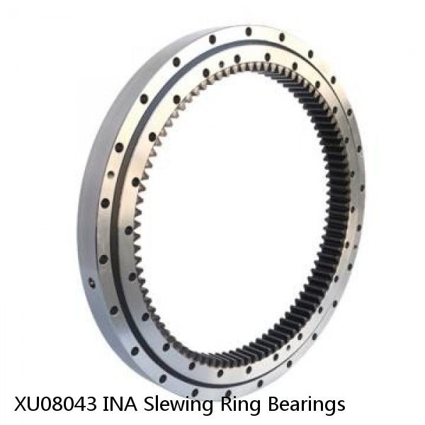 XU08043 INA Slewing Ring Bearings #1 image