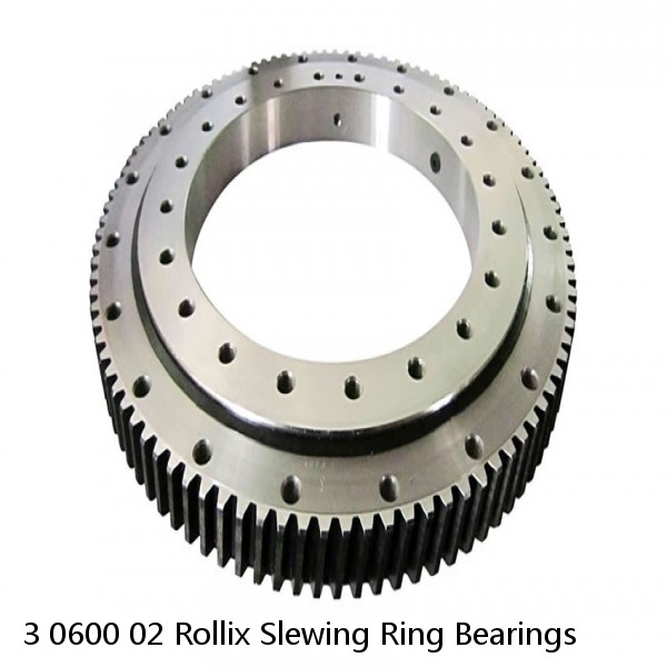 3 0600 02 Rollix Slewing Ring Bearings #1 image