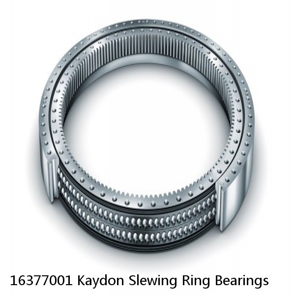 16377001 Kaydon Slewing Ring Bearings #1 image