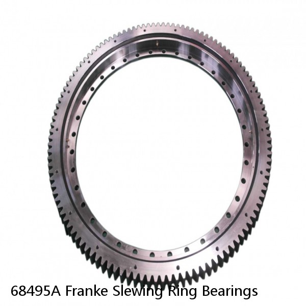 68495A Franke Slewing Ring Bearings #1 image