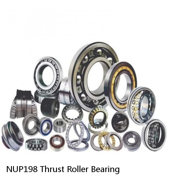 NUP198 Thrust Roller Bearing #1 image