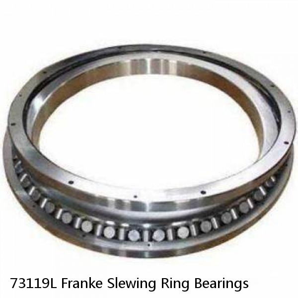 73119L Franke Slewing Ring Bearings #1 image