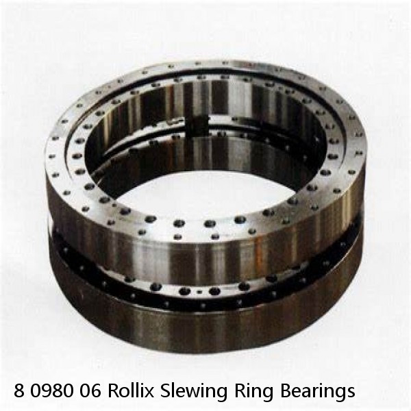 8 0980 06 Rollix Slewing Ring Bearings #1 image