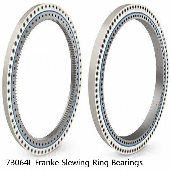 73064L Franke Slewing Ring Bearings #1 image
