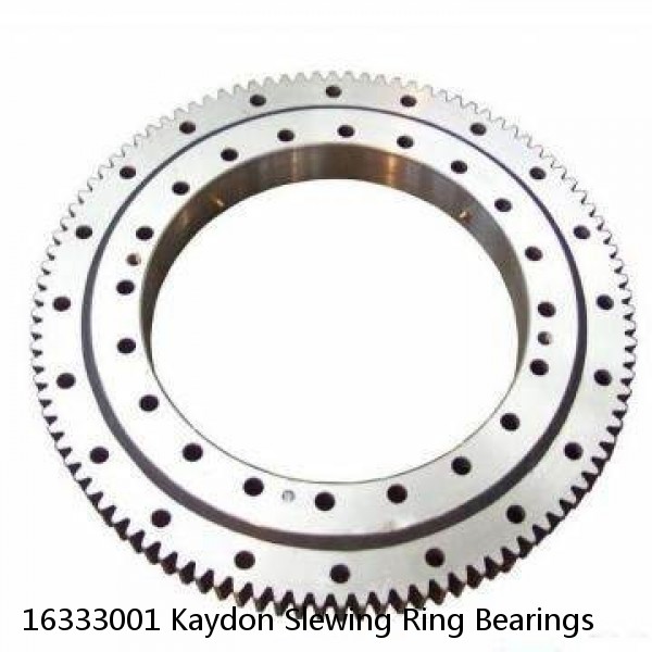 16333001 Kaydon Slewing Ring Bearings #1 image