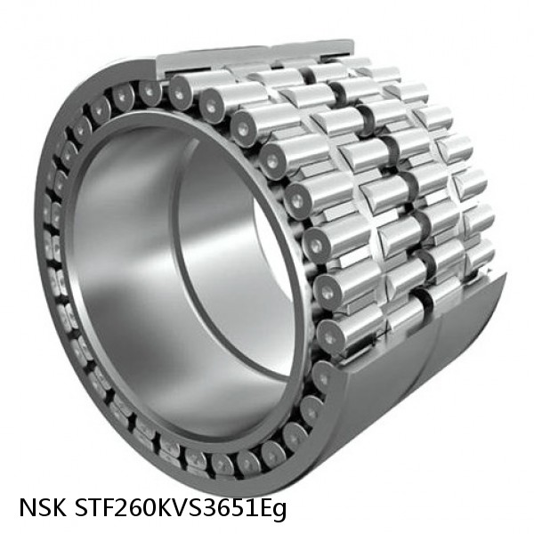 STF260KVS3651Eg NSK Four-Row Tapered Roller Bearing #1 image