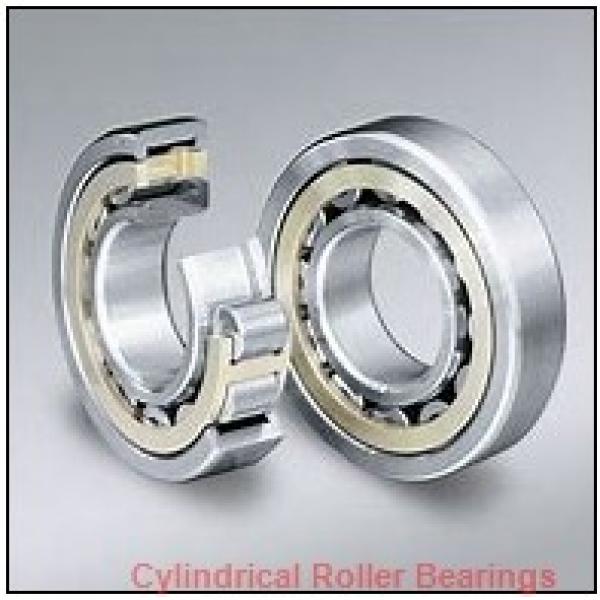 95 mm x 170 mm x 43 mm  FAG NJ2219-E-TVP2  Cylindrical Roller Bearings #1 image