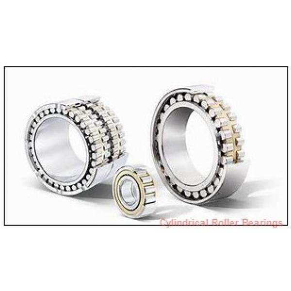 FAG NUP203-E-M1A  Cylindrical Roller Bearings #2 image