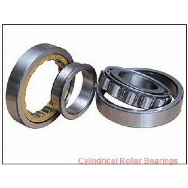 0.669 Inch | 17 Millimeter x 1.575 Inch | 40 Millimeter x 0.472 Inch | 12 Millimeter  NSK NU203W  Cylindrical Roller Bearings #2 image