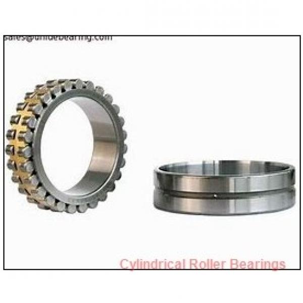 17 mm x 40 mm x 12 mm  FAG NUP203-E-TVP2  Cylindrical Roller Bearings #1 image