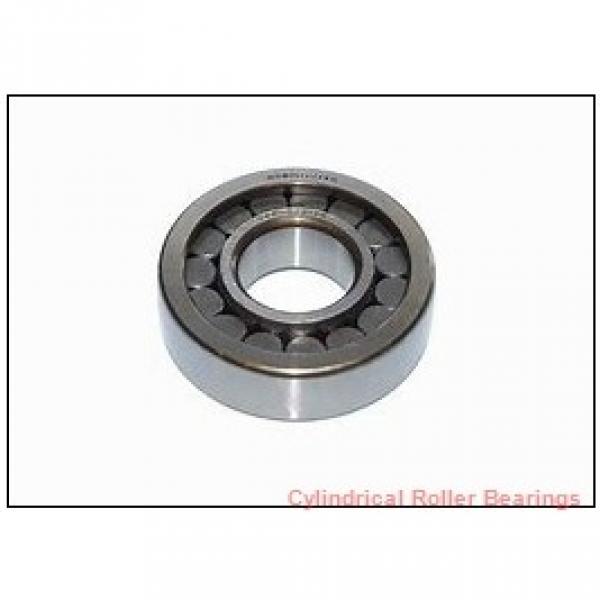 75 mm x 130 mm x 31 mm  FAG NJ2215-E-TVP2  Cylindrical Roller Bearings #1 image